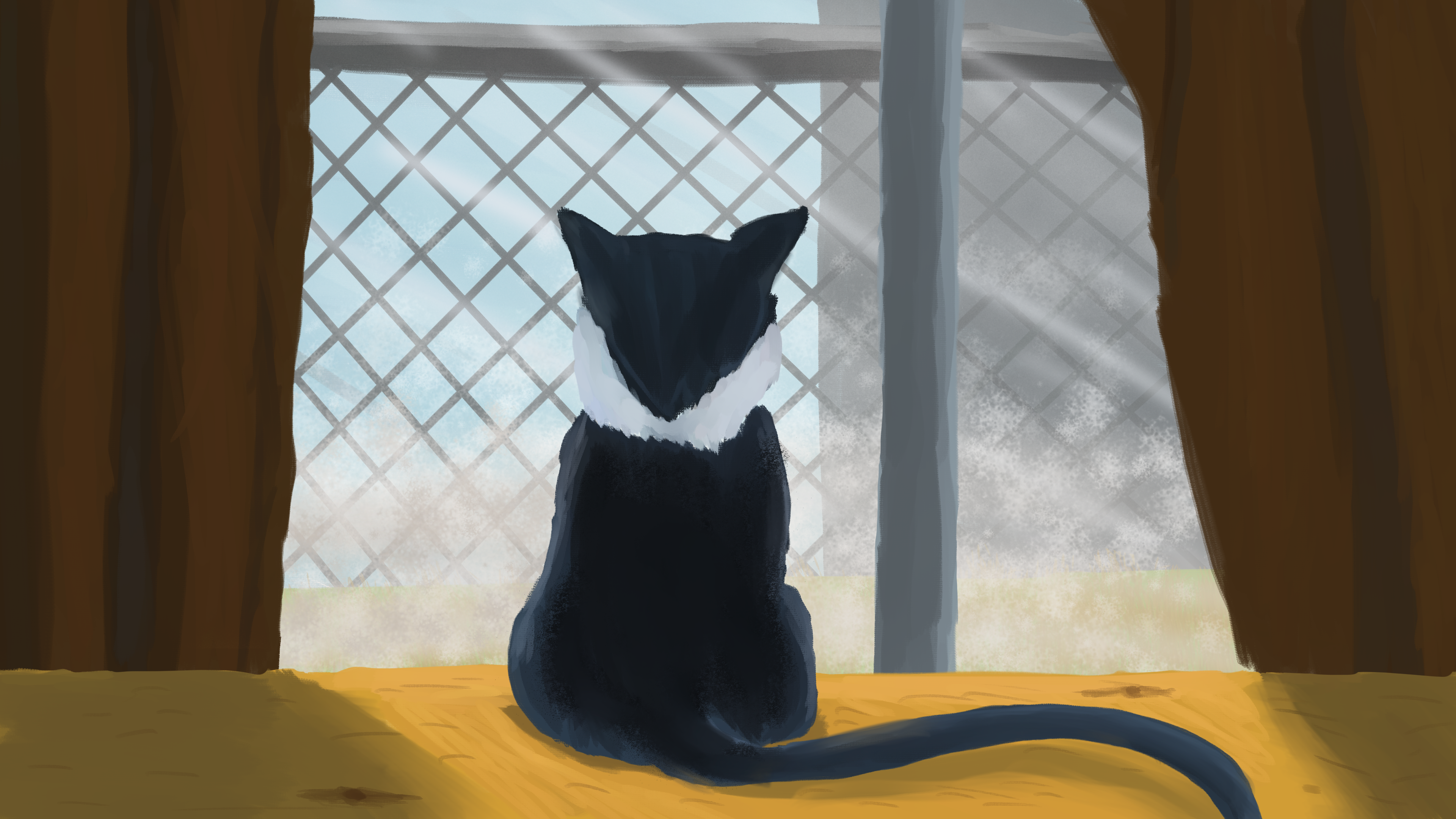 My cat in a window.