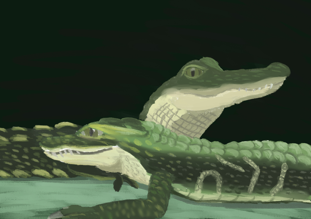 A pair of little gators.